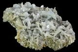 Blue Bladed Barite and Chalcopyrite Association - Morocco #91431-1